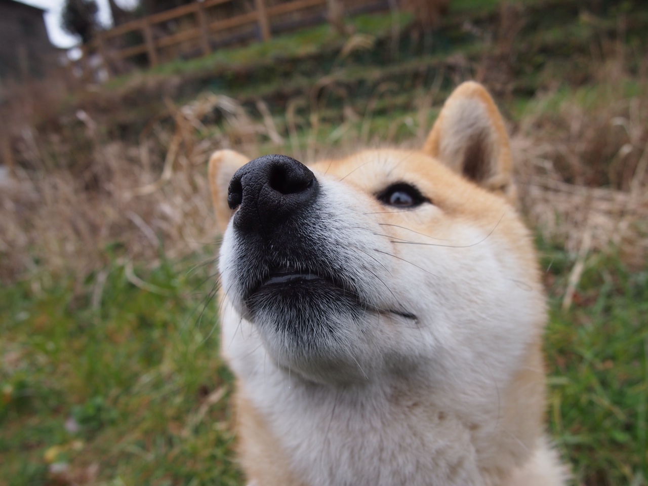 中国男篮通过分组对抗提升阵容适应性，中国男篮战术分析