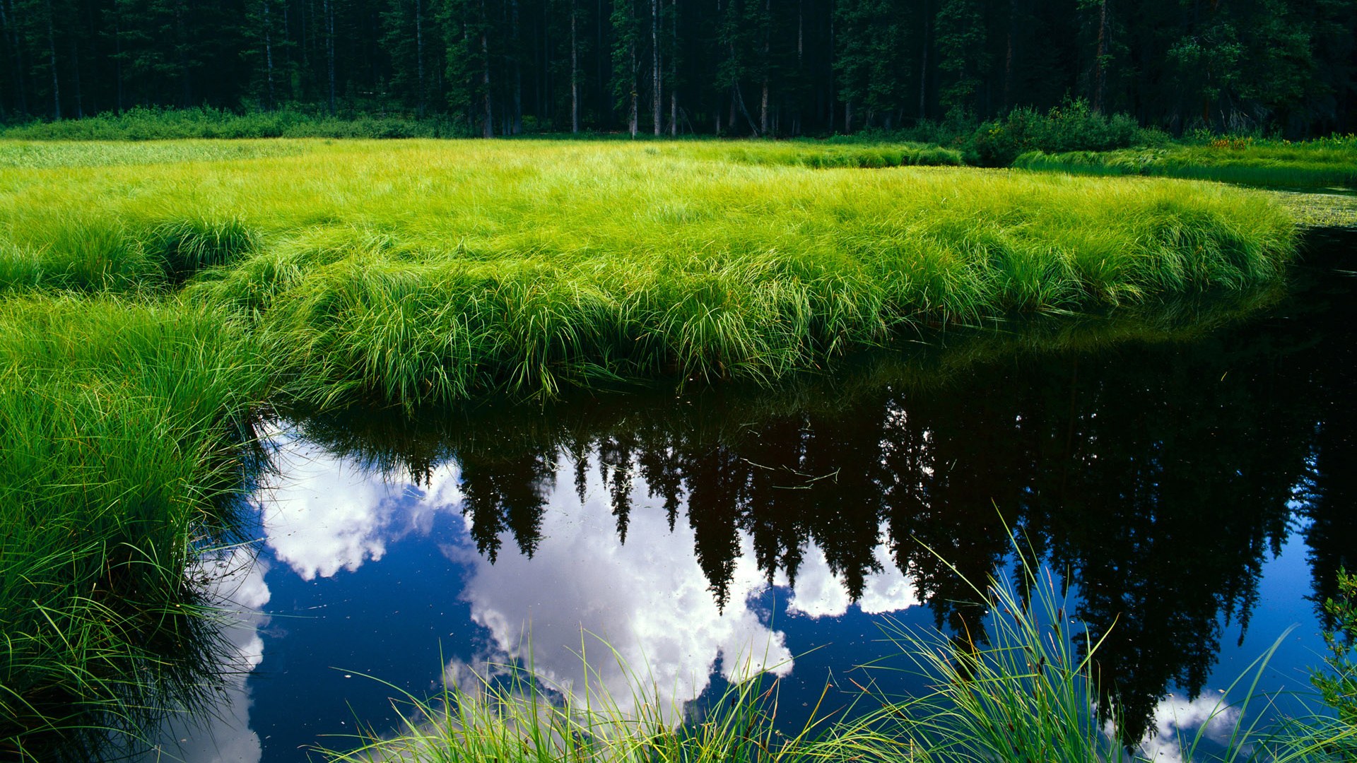 体育新闻中心联合高校设立体育媒体研究实验室，体育新闻传媒专业大学排名