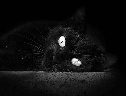 国家冬季项目训练中心配套设施升级完工，国家冬训基地