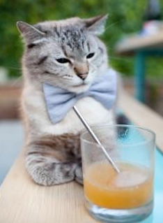 国际热身赛中国足球平局 战术布置成焦点，中国国家足球队热身赛