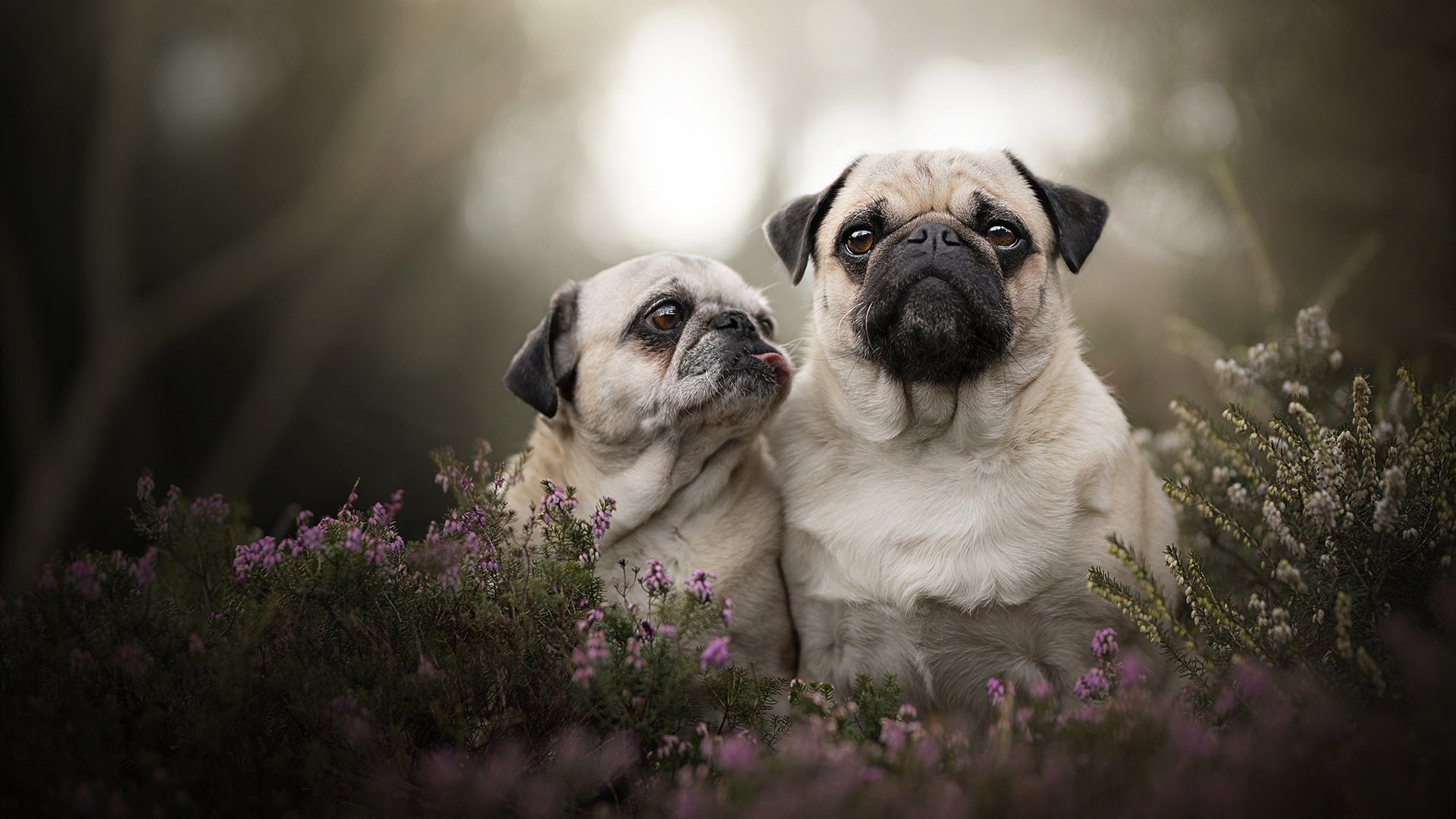 奥林匹克教育主题活动走进幼儿园课堂，奥林匹克的教育主题