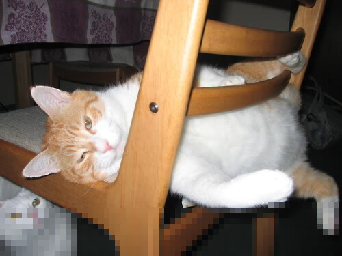 世界杯精彩纷呈:每一秒都不容错过!,世界杯场面