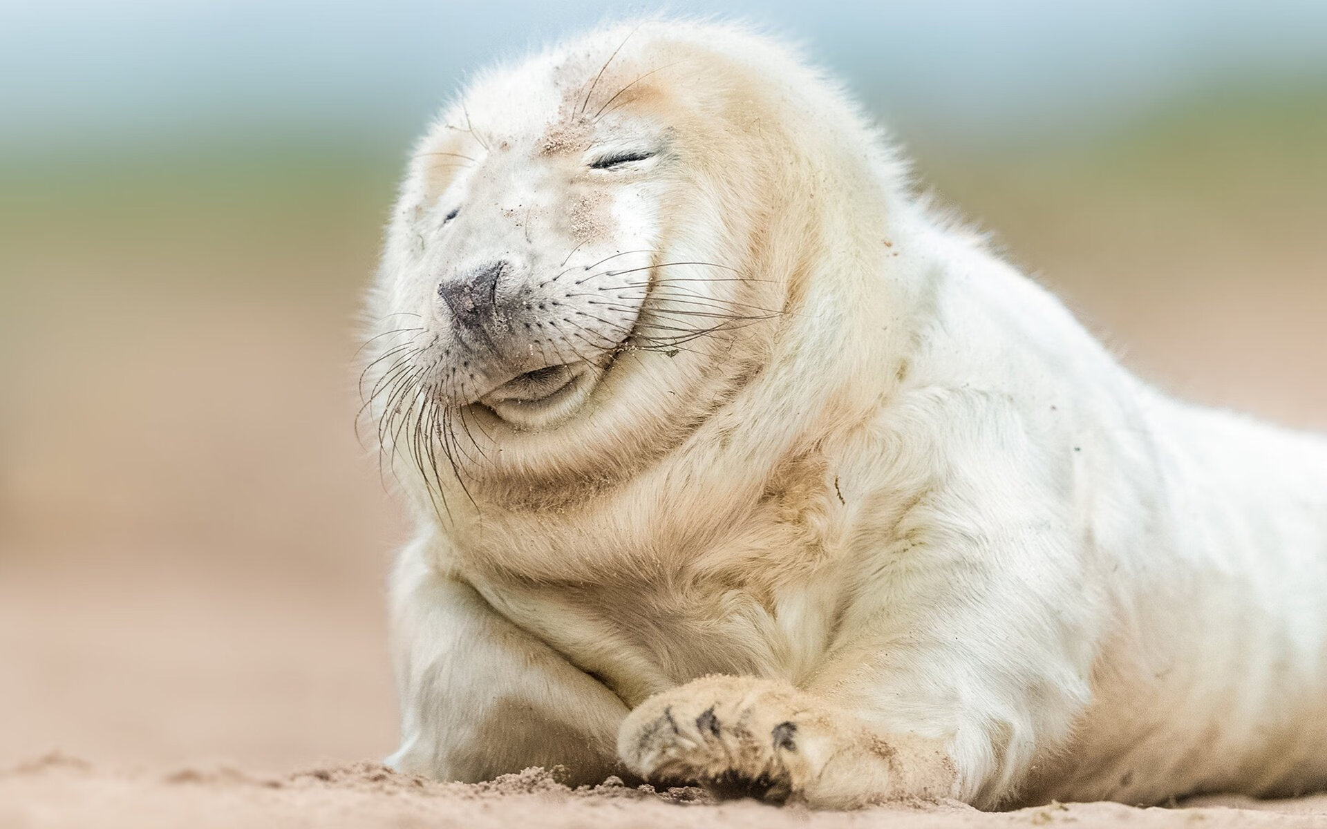 中国足球开展区域青训基地互访活动促进经验交流，中国足球青少年训练基地